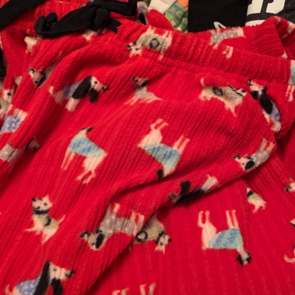 Pajama pants never wore